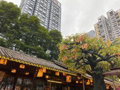 -捞锅坝子老火锅(汽博中心店)