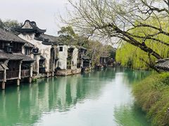 -乌镇景区