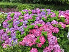 -云漫湖生态度假公园