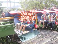 -鹦鹉过山车