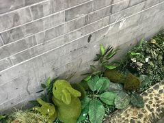 -锦尚阁烤鱼•天津菜(宣武门胡同店)