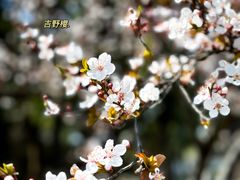 -昆山城市生态森林公园