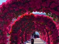 -莲花山公园