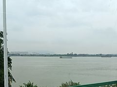 -八仔大富楼·河鲜(西江店)