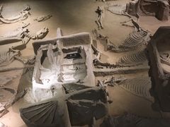 -洛阳周王城天子驾六博物馆