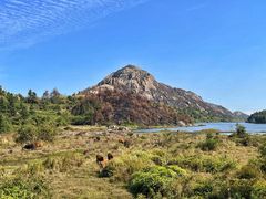 -大罗山风景区