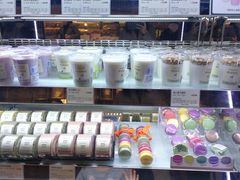 -多乐之日(颐堤港店)