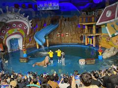 -烟台海昌鲸鲨海洋公园