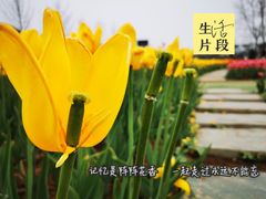 -云幽谷旅游区