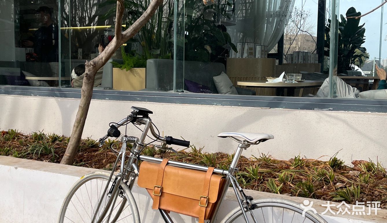 洛阳最近很火的咖啡店每次都能刷到