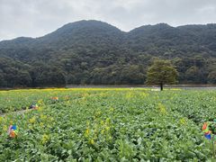 -广州市石门国家森林公园