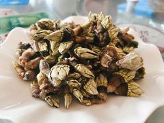 -哈味食店(外伶仃岛店)