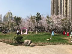 -堤角公园
