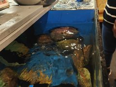 -渔洲情海鲜酒家