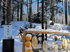 -峡谷浮石林景区