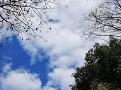 -双季花艺园艺市场(浦东店)