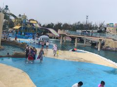 -秦皇岛乐岛海洋王国