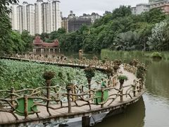 -曼听御花园