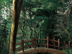 -火炉山森林公园