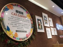 -藏猫猫咖啡主题馆(中央大道店)
