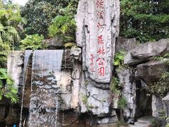 -广州市流溪河国家森林公园