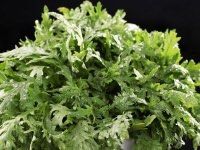 皇帝菜-狐狸爱上椰子鸡(滨江星光大道店)