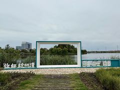 -杭州湾海上花田景区