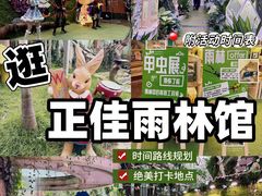 -正佳雨林生态植物园