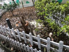 -上海佘山世茂艾美酒店