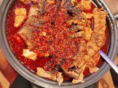 -鱼酷活鱼烤鱼(静安大融城店)