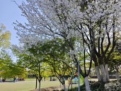 -径山花海