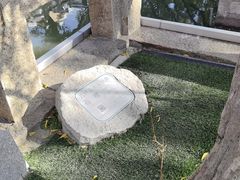 -安亭老街