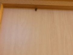 -红茶馆(油麻地店)