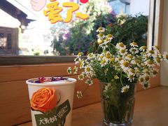-大青树咖啡(大理古城店)