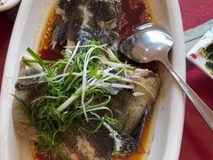 -湛江渔港·大排档(乐园路总店)