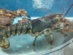 -聚德福海鲜家常菜(刘庄店)