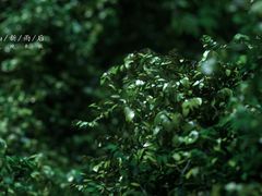 -红瓜子 影视后期 摄影摄像设计 新媒体运营技能培训(宝安校区)