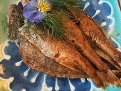 -龟兹KUCINA·新疆菜(前滩L+PLAZA店)