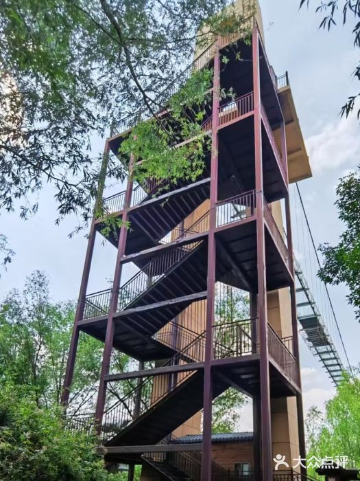 滕州微山湖红荷湿地景区图片