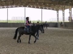 -松声马术俱乐部