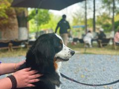 -J Create城市露营咖啡·简餐·宠物(上海动物园店)