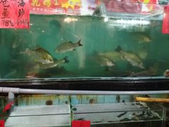 -吉莲利苑海鲜酒家(珠海拱北28年老字号店)