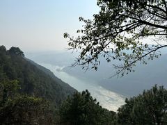 -铁山坪森林公园