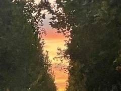 -北京雄鹿运动中心