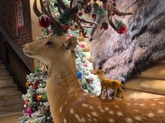 -卢布里西餐厅(总店)