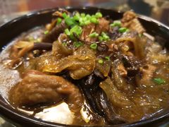 -食家鸽园