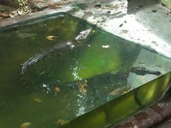 -清迈夜间动物园
