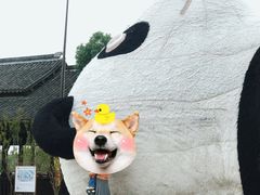 -苏州太湖国家湿地公园