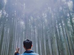 -山王坪喀斯特国家生态公园