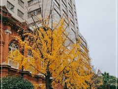 -复旦大学附属华山医院(总院)